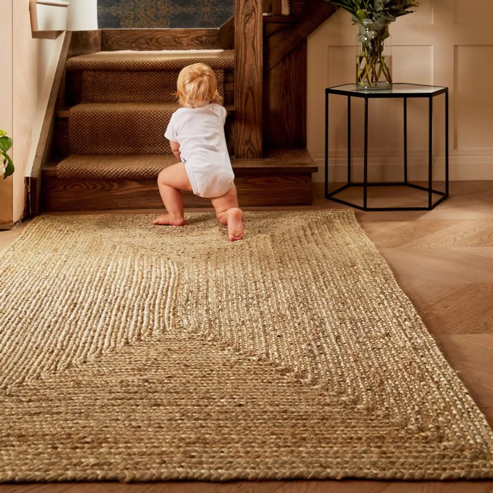 Braided Jute Rugs