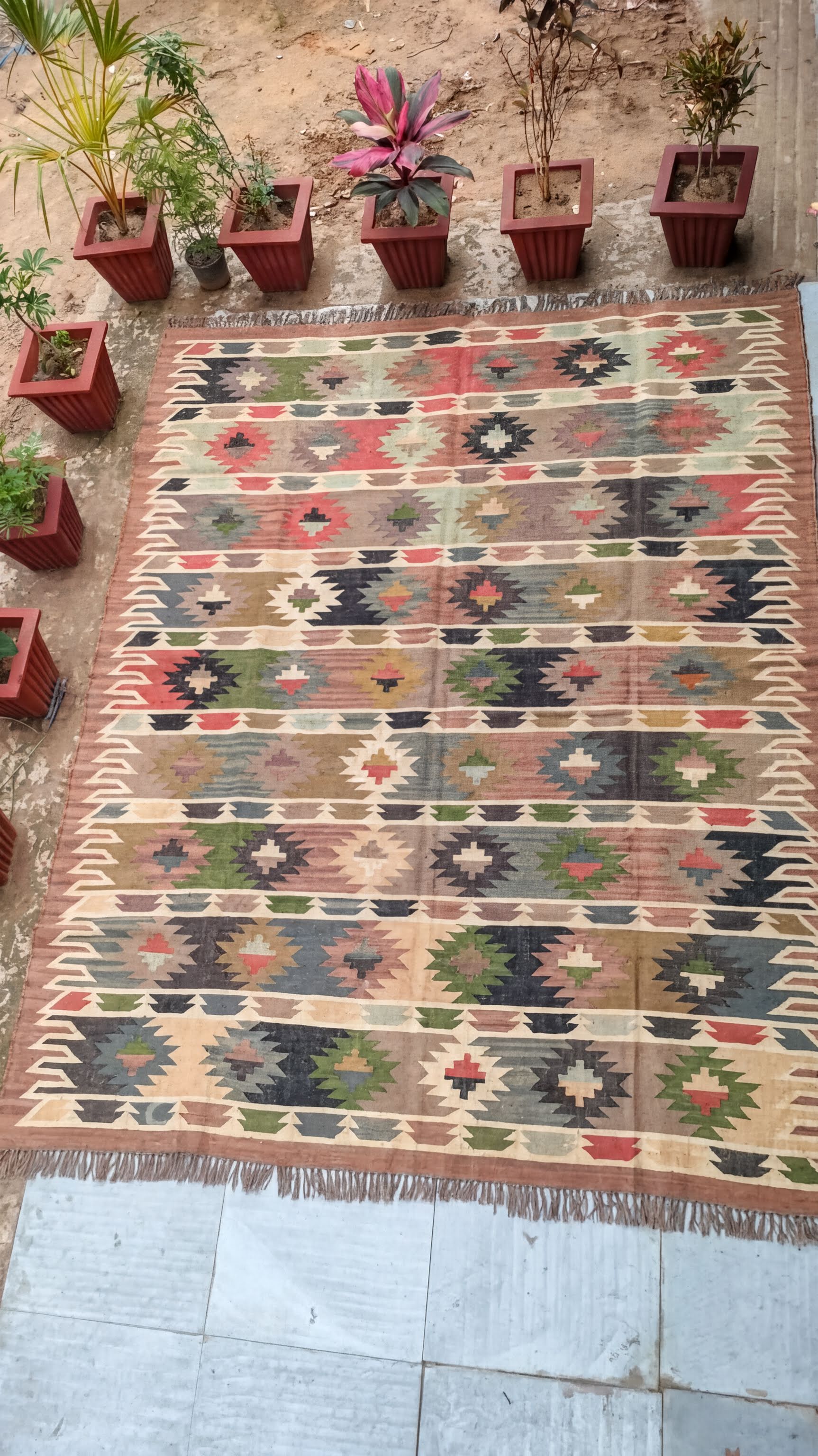 a colorful, patterned rug with a geometric design, surrounded by several potted plants arranged in a row.
