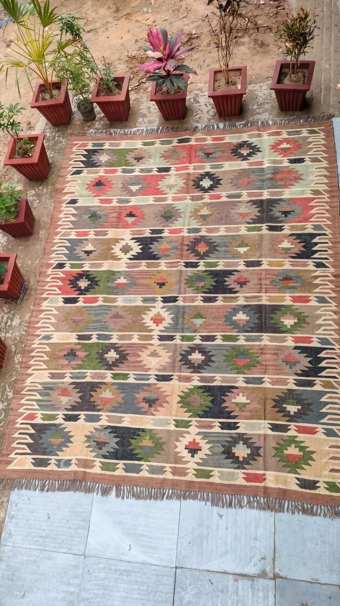 a colorful, patterned rug with a geometric design, surrounded by several potted plants arranged in a row.