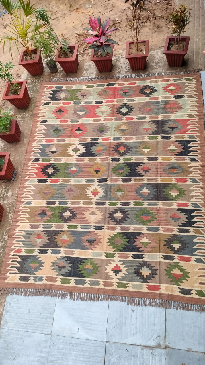 a colorful, patterned rug with a geometric design, surrounded by several potted plants arranged in a row.