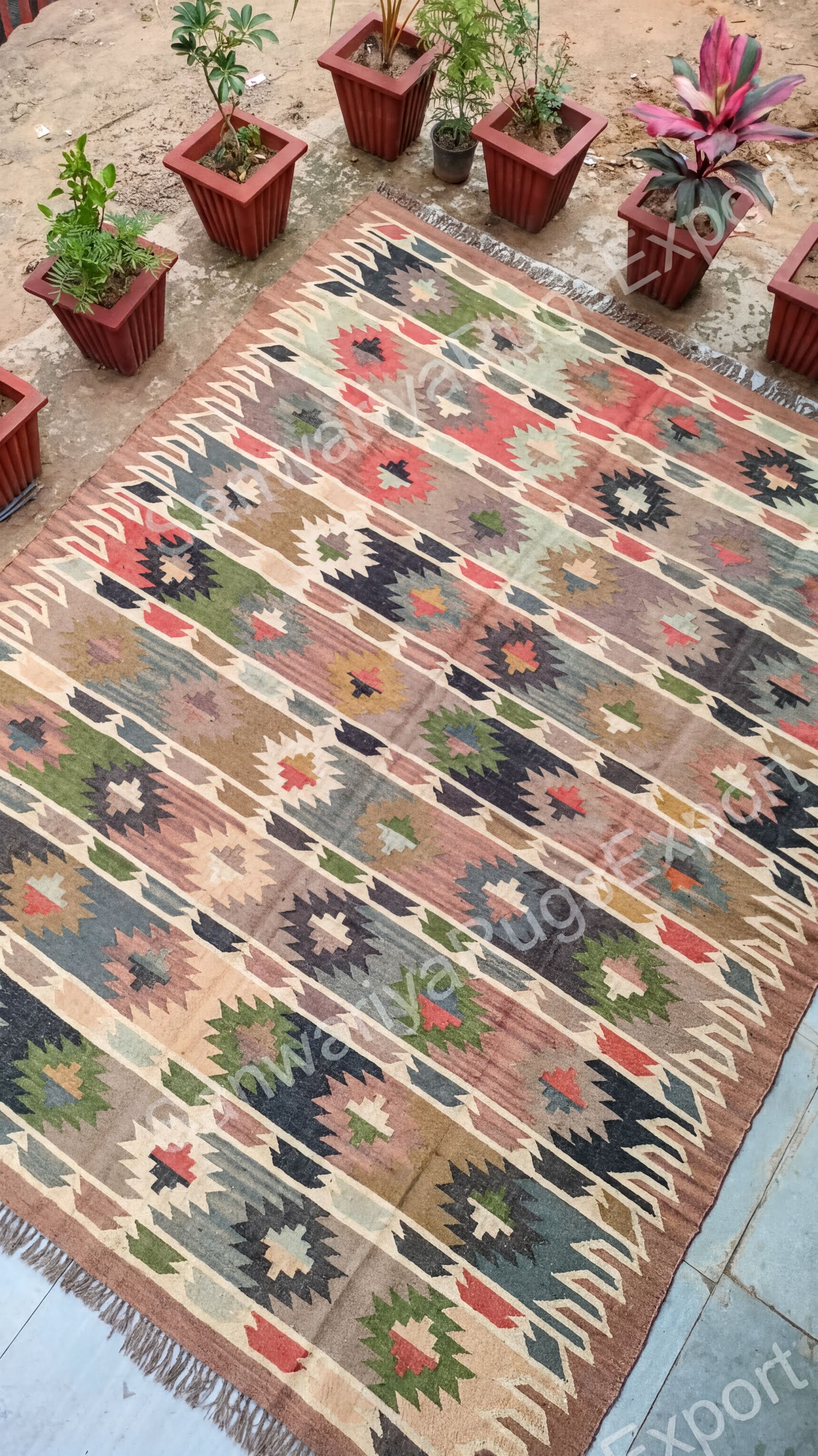a colorful, patterned rug with a geometric design, surrounded by several potted plants.