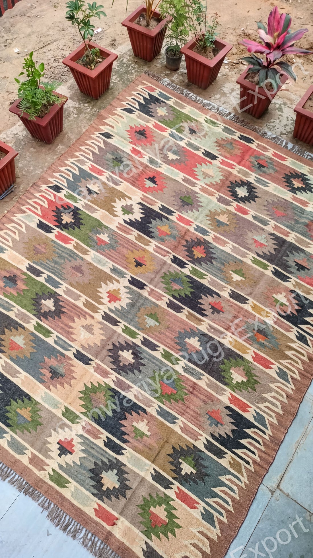 a colorful, patterned rug with a geometric design, surrounded by several potted plants.