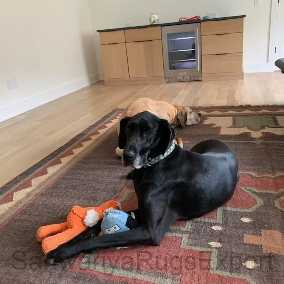 Kilim Rug – Handwoven Wool & Jute Dhurrie | Traditional Indian Area Carpet