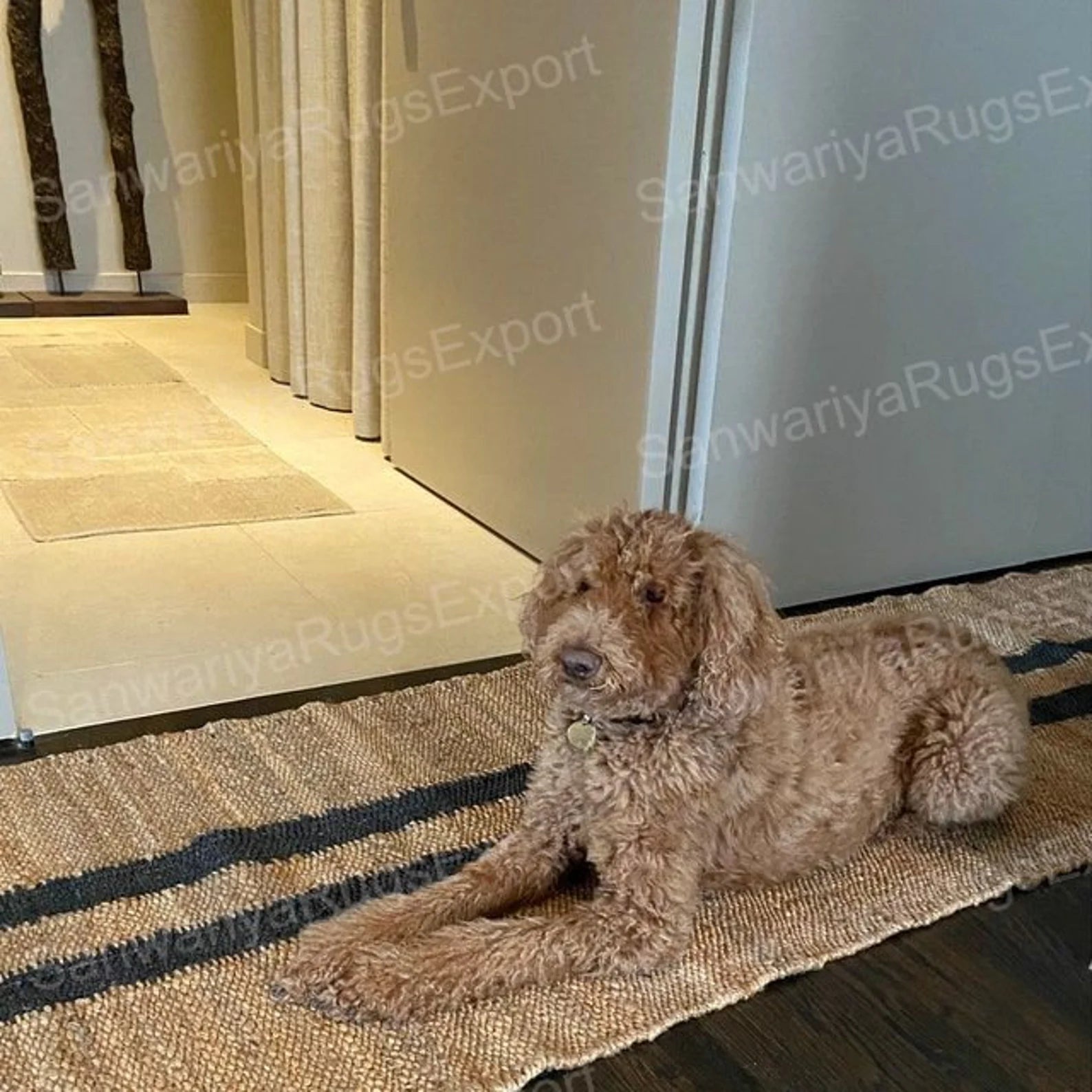 Black Line Natural Jute Runner Rug for Hallways and Entryways