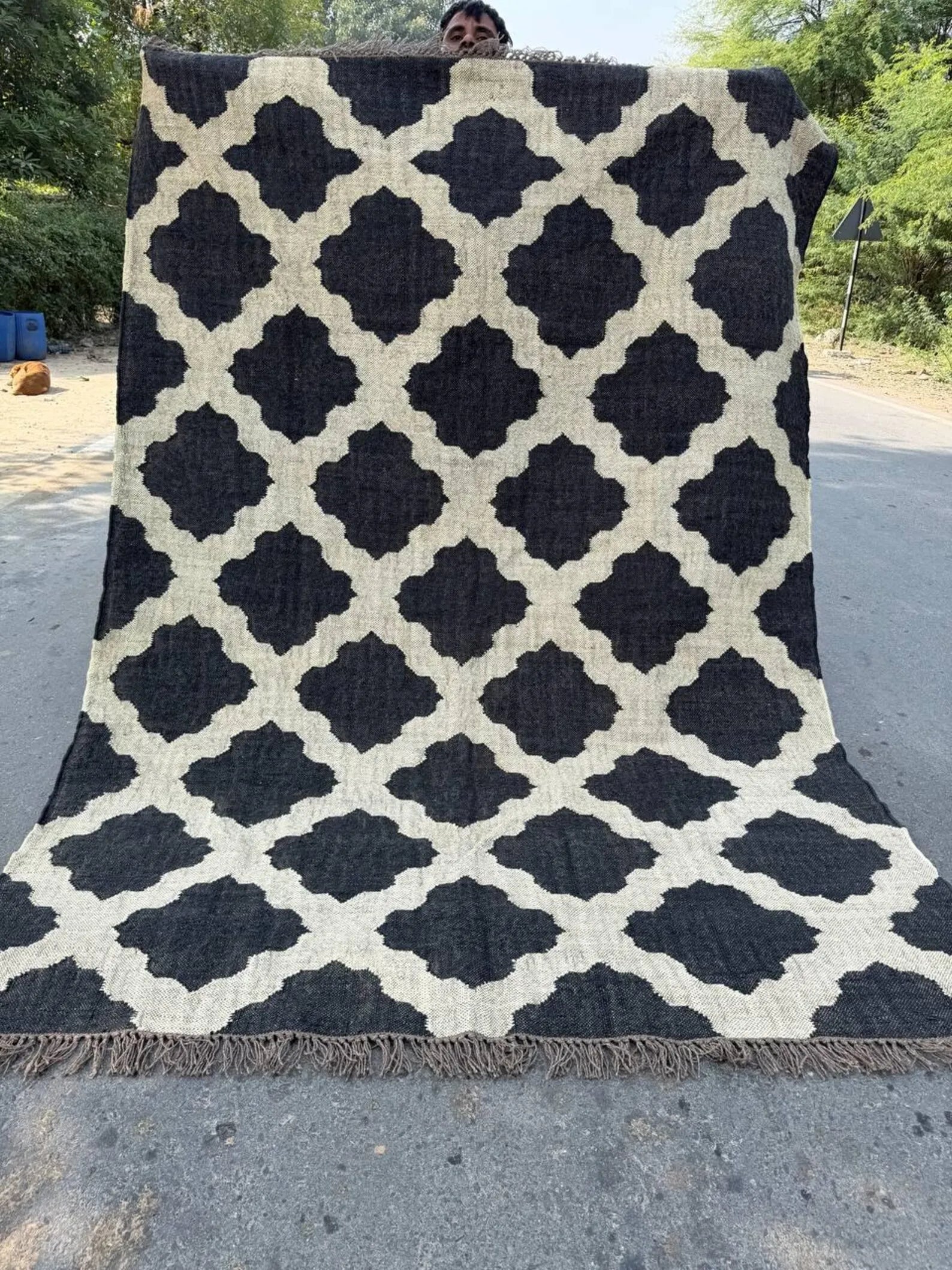 Handwoven Moroccan Wool Jute Area Rug, Reversible Black Ivory Kilim Rug, Geometric Trellis Flatweave Carpet, Boho Farmhouse Rug, Custom Size